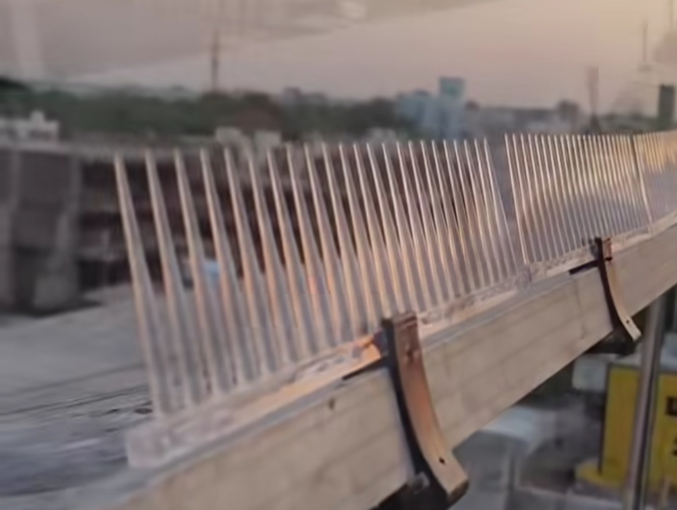Bird Netting Installation