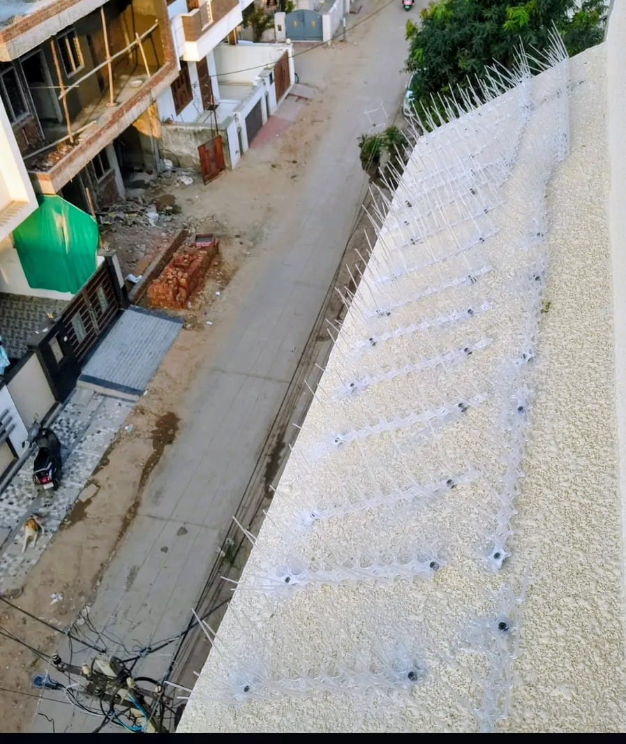 Anti bird spikes