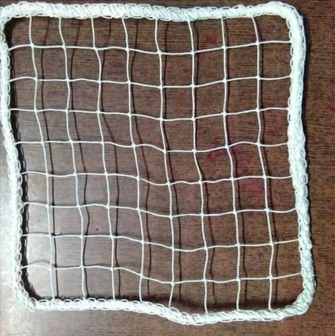 Bird Netting Installation
