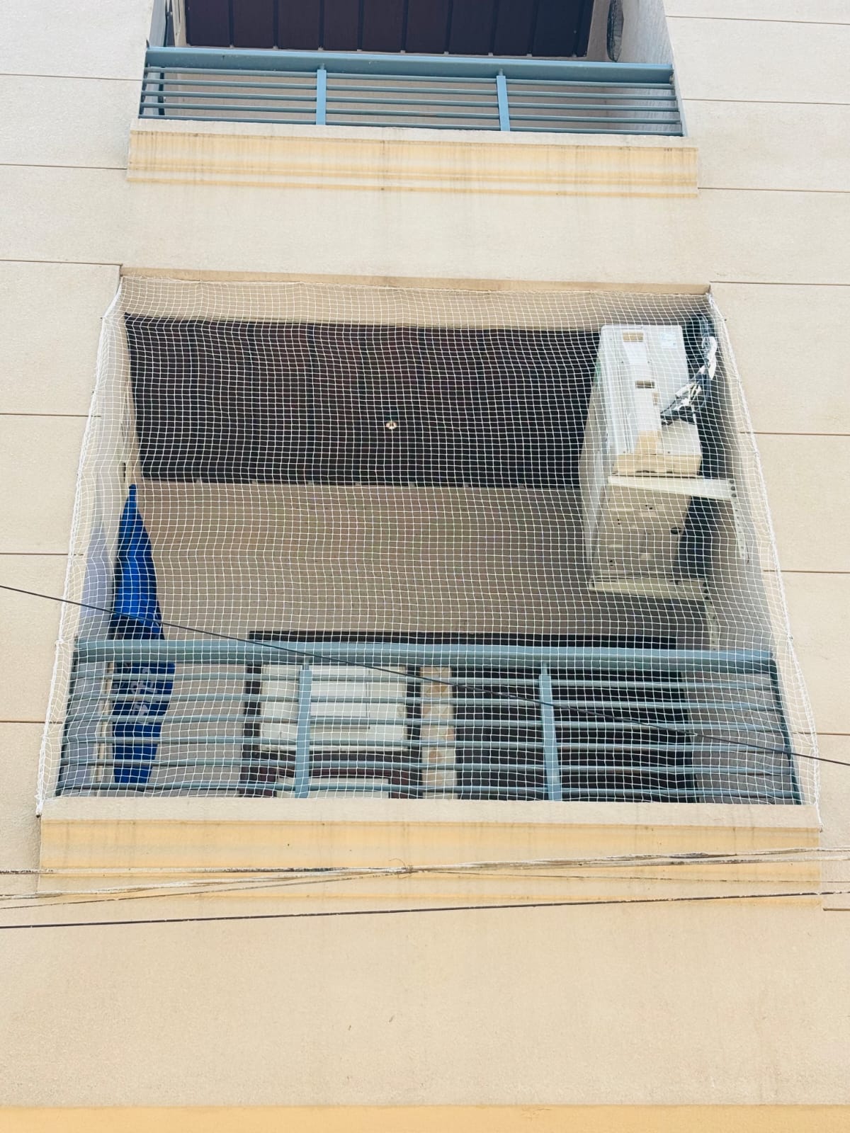 Bird Netting Installation