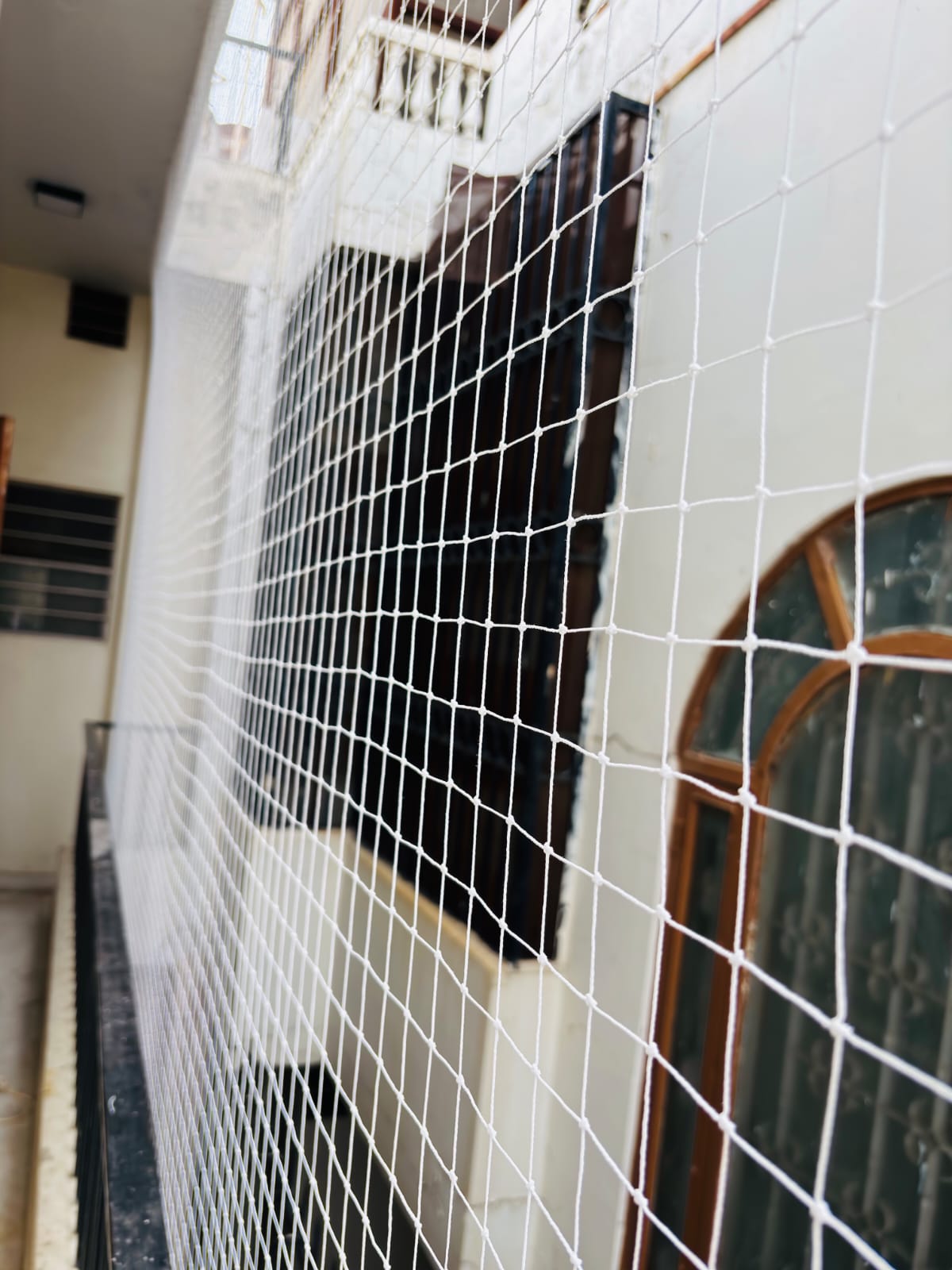 Bird Netting