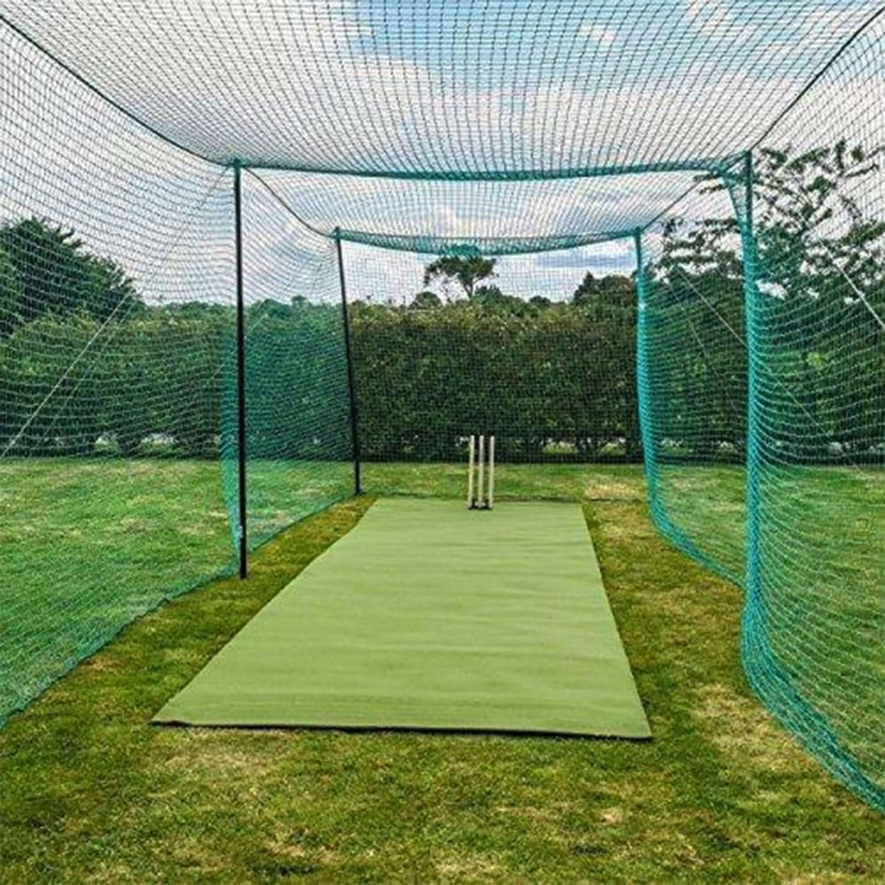 Bird Netting Installation