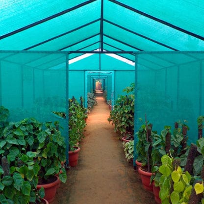 Bird Netting