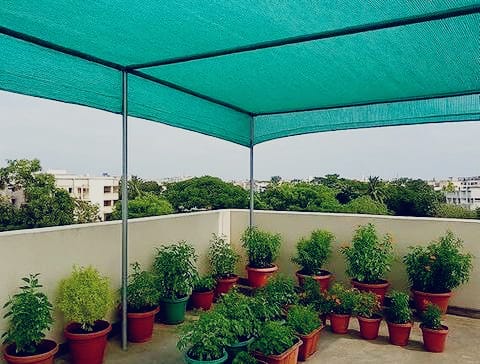 Bird Netting Installation